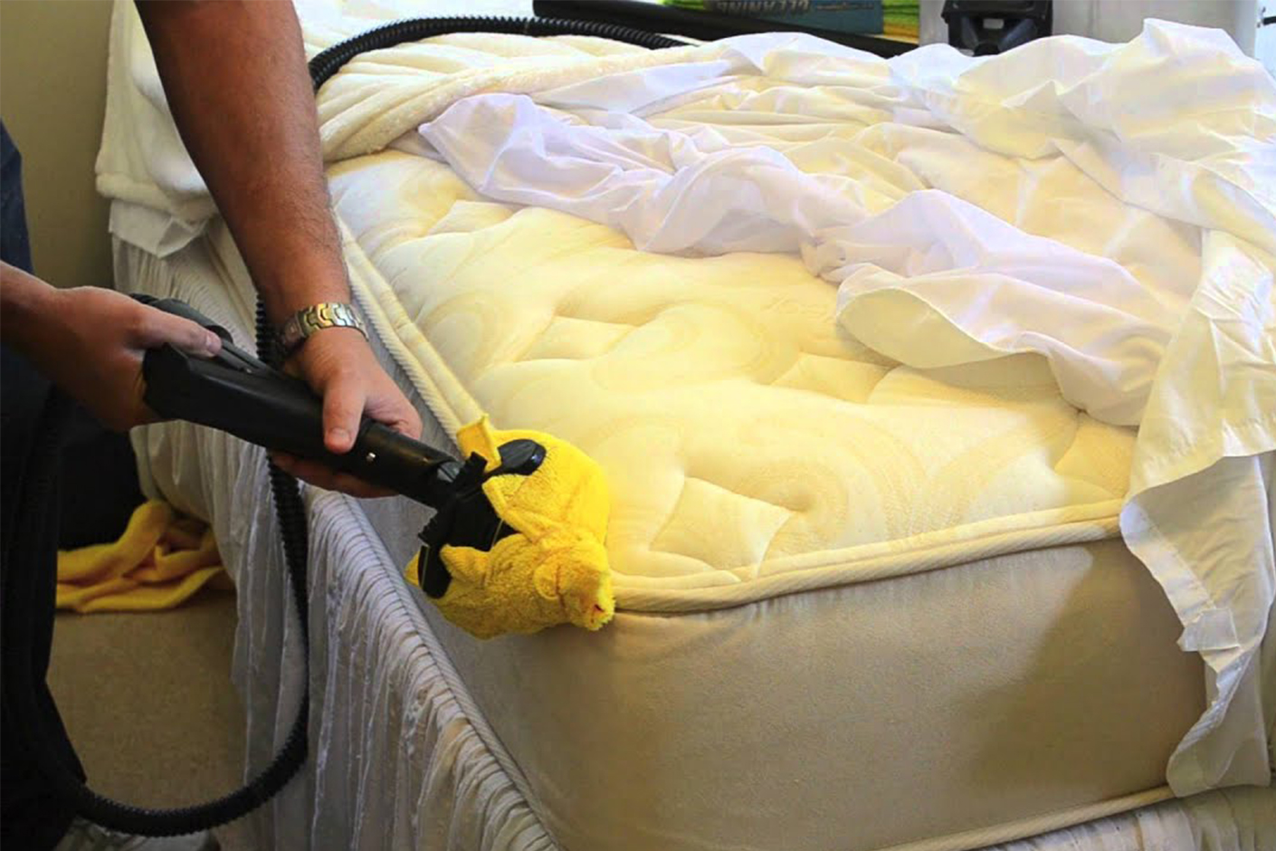 Bed Bug pest control services